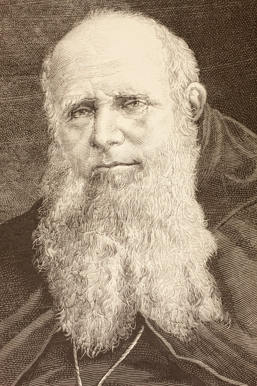 Guglielmo Massaia (litografia) de English School