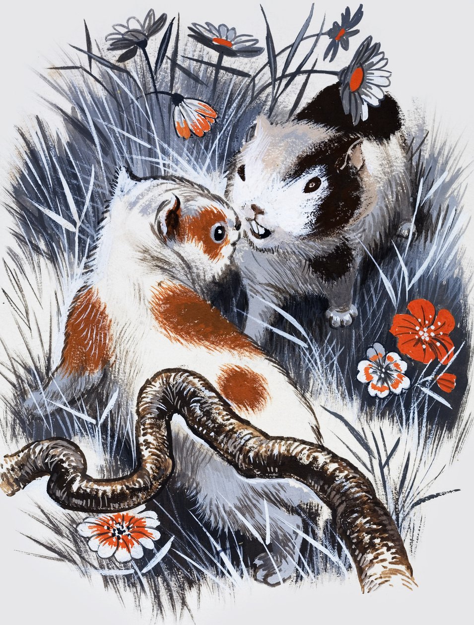 Porquinho-da-índia (guache sobre papel) de English School