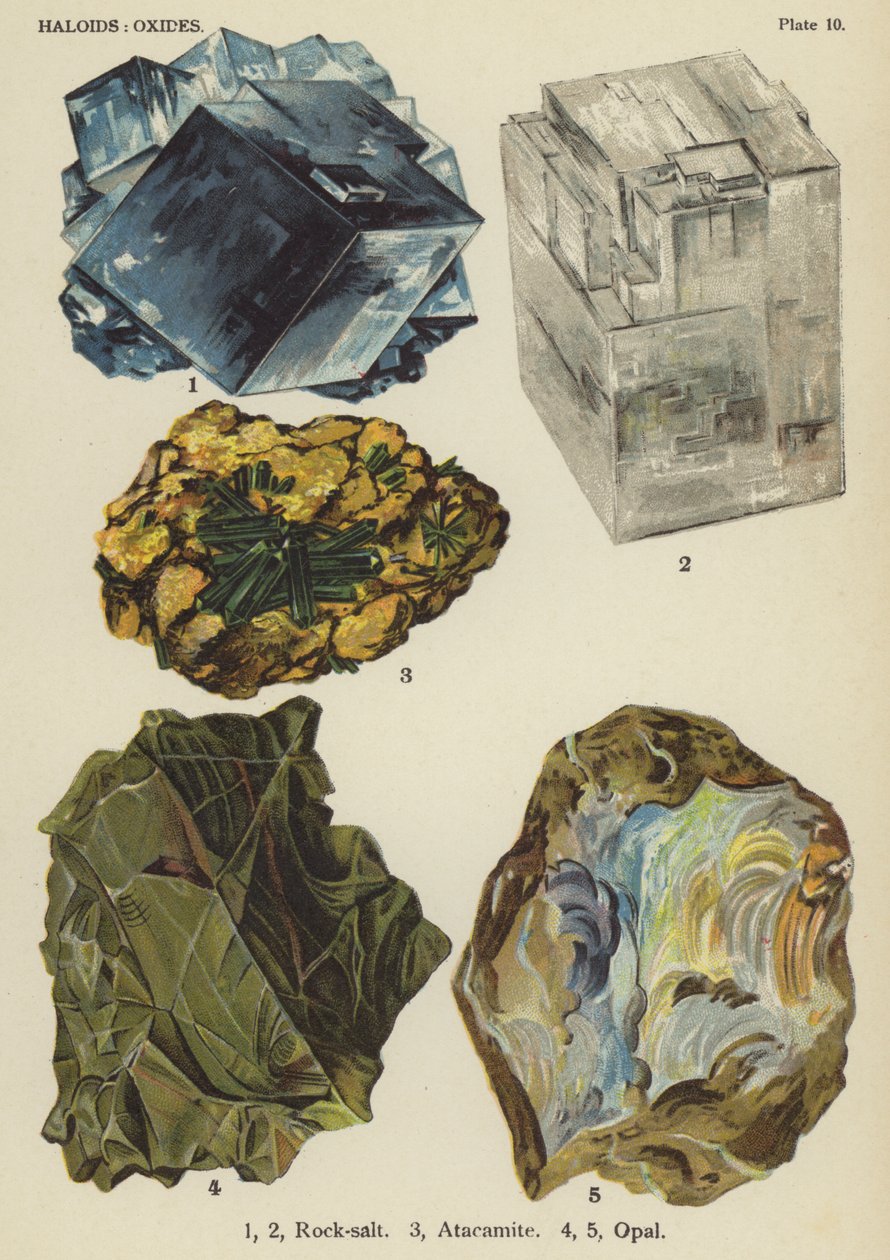 Haloides, óxidos, sal-gema, atacamite, opala (litografia colorida) de English School