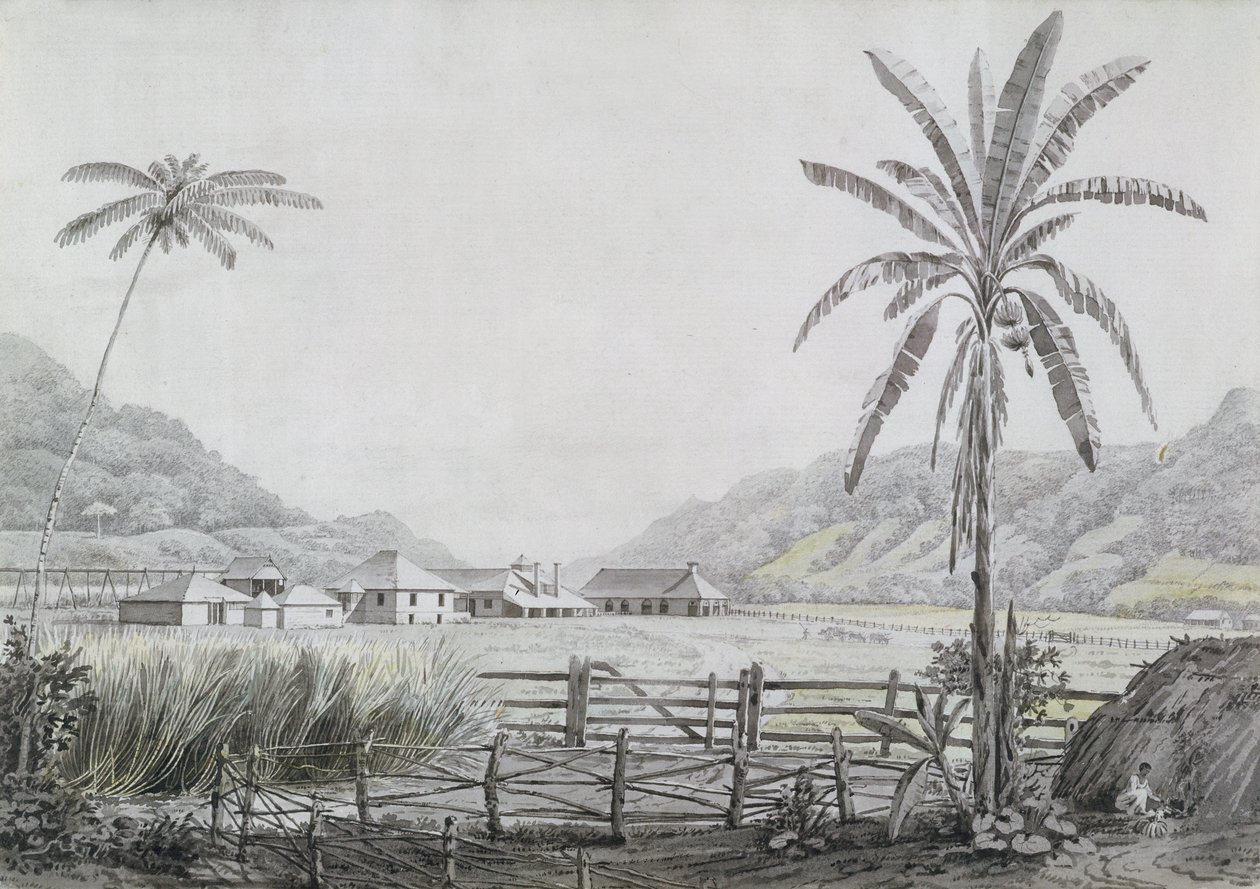Halse Hall, Jamaica, c.1780 (wc e grafite sobre papel) de English School