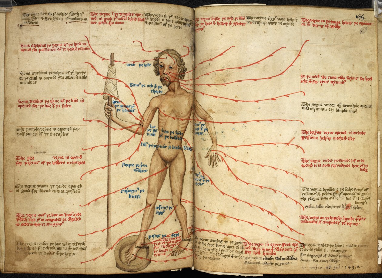 Harley 3719, ff.158v-159 Miniatura de um sangrador com um pé em uma panela sangrando e um fuso na mão, ilustração de 