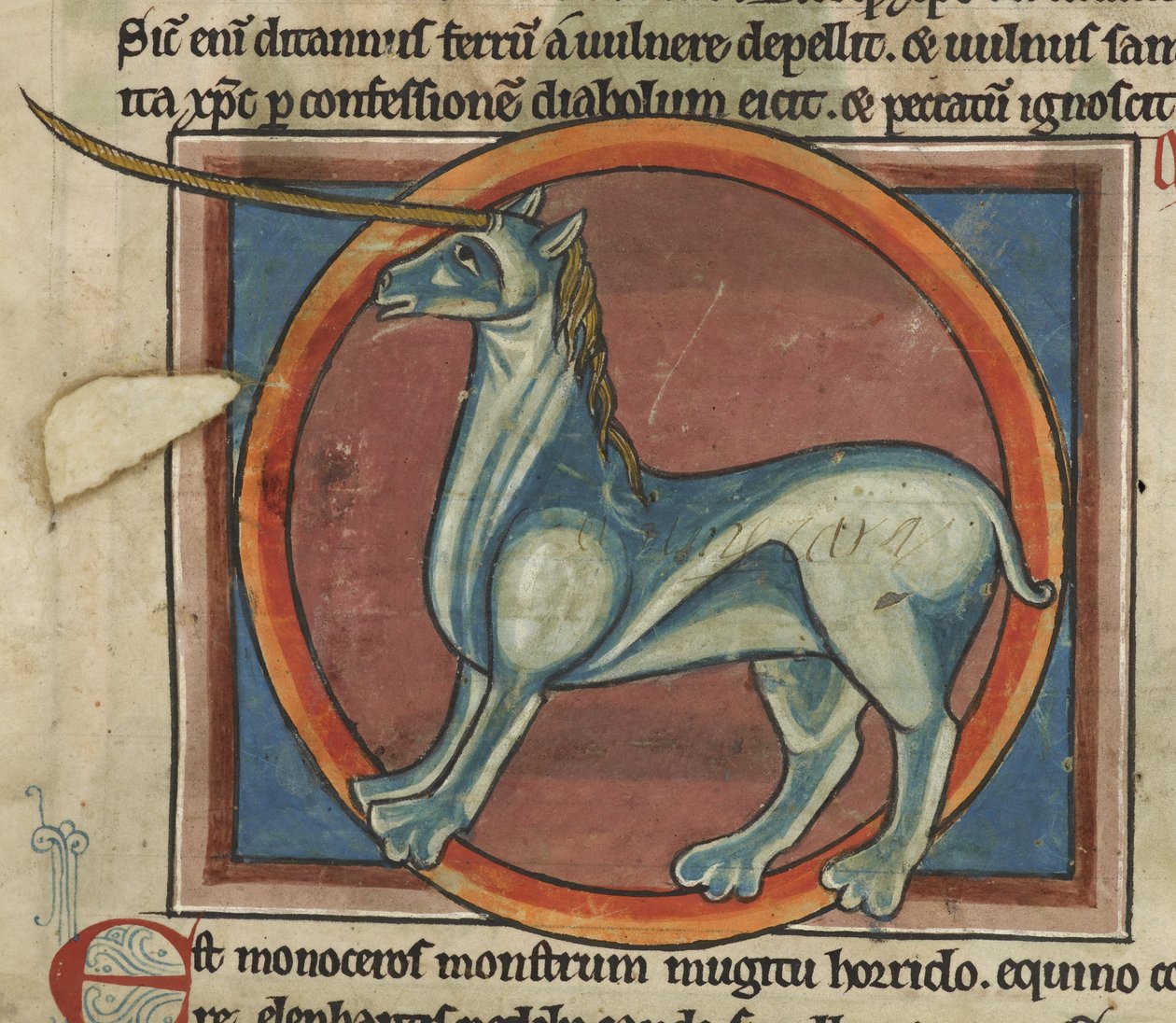 Harley 4751, f.15 Monoceros com um chifre grande, de um 