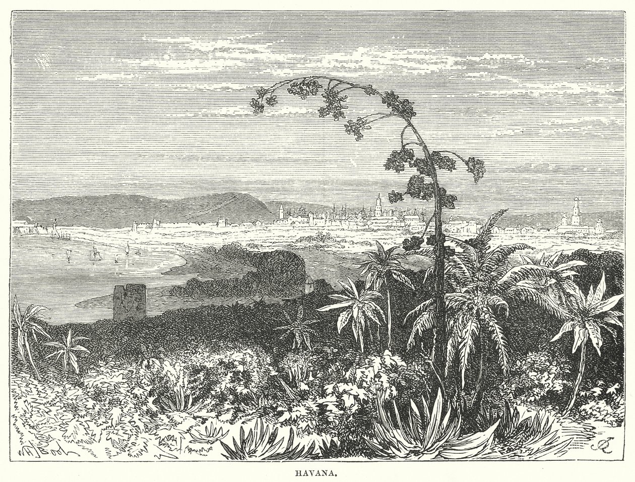 Havana (gravura) de English School