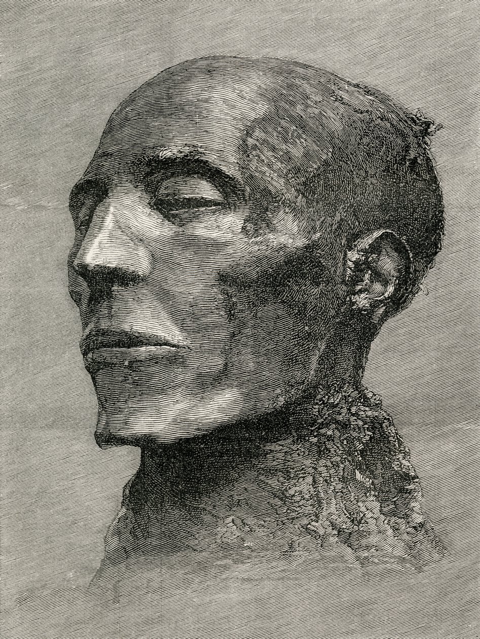 Cabeça da múmia de Menmaatre Seti I, também conhecido como Sethos I, Faraó do Antigo Egito, de The Worlds Inhabitants por GT Bettany, publicado em 1888 de English School