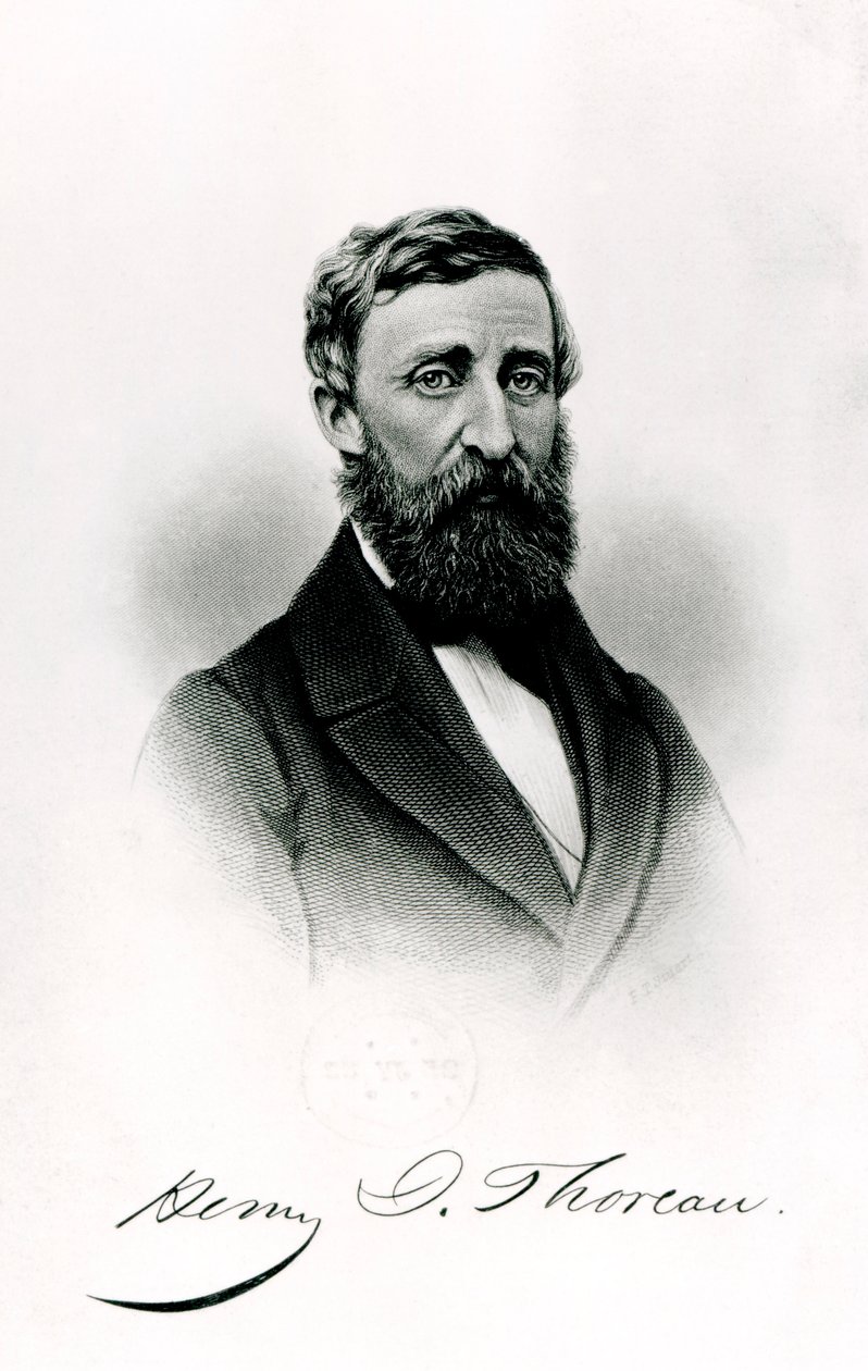 Henry David Thoreau (1817-1862) de English School