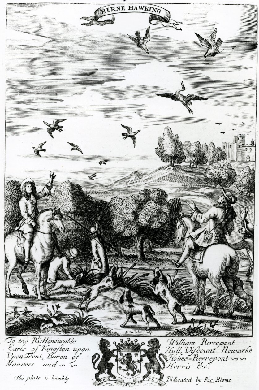 Herne hawking, de &39;The Gentleman&39;s Recreation&39; publicado por Richard Blome, 1686 (gravura) de English School