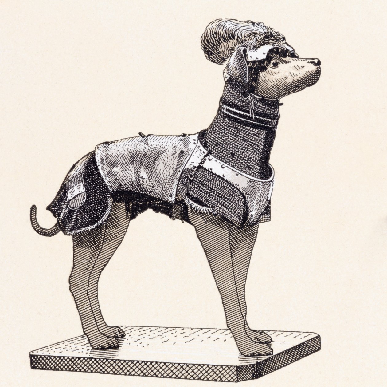Cão de caça com colete (gravação colorida) de English School