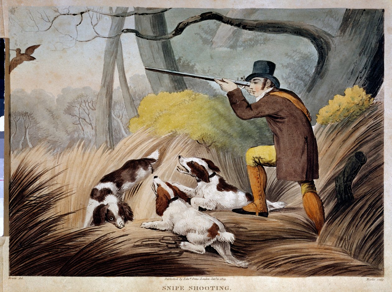 A caçar um bico em Inglaterra. Gravura aquarelada do século XIX. Gien, museu da caça. de English School