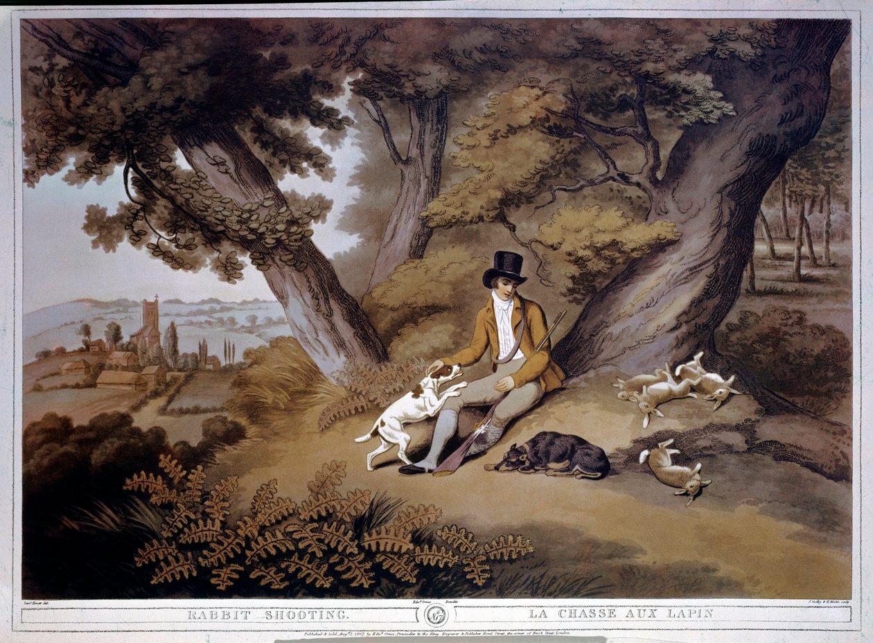 Caça aos coelhos em Inglaterra. Gravura do século XIX. Gien, museu da caça de English School