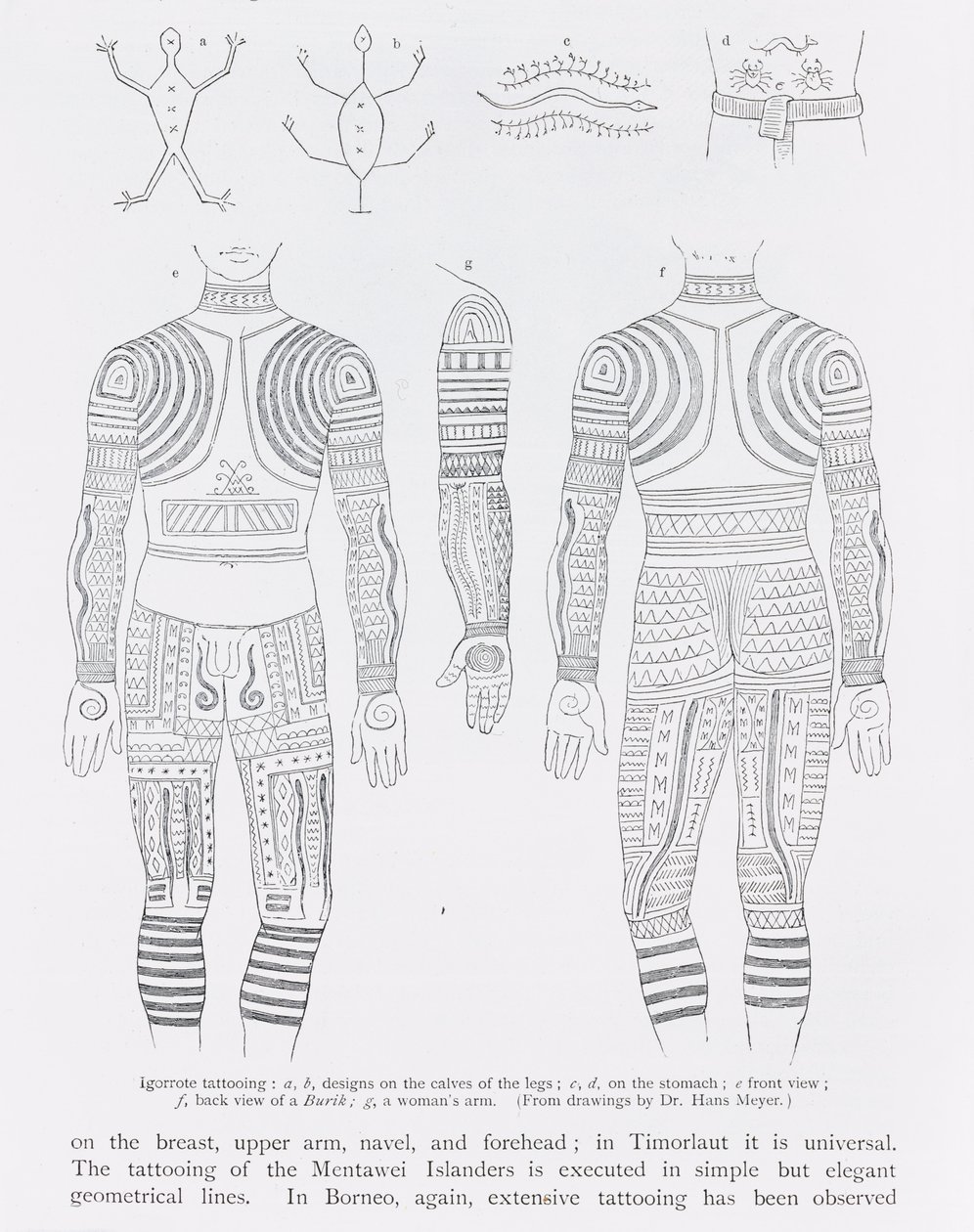 Tatuagem Igorrote, de &39;The History of Mankind&39;, Vol.1, do Prof. Friedrich Ratzel, 1896 de English School