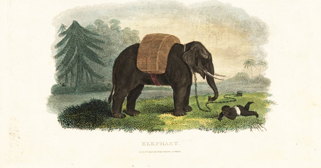 Criança indiana deixada sob a protecção de um elefante acorrentado enquanto os pais forrageiam na floresta para se alimentar de English School