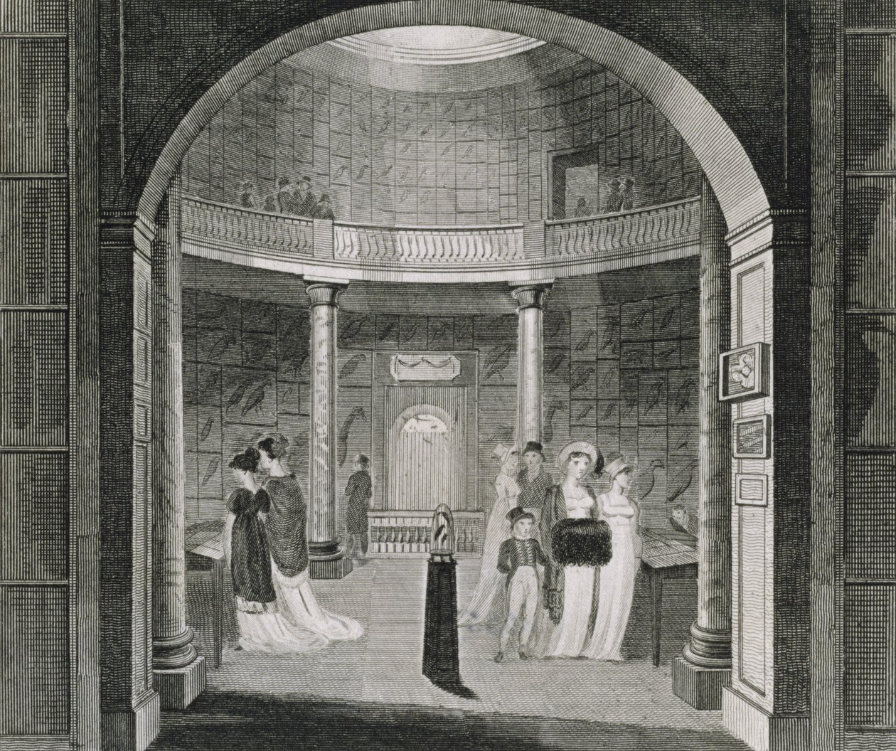 Vista interior do Museu Leverian, 1806 de English School