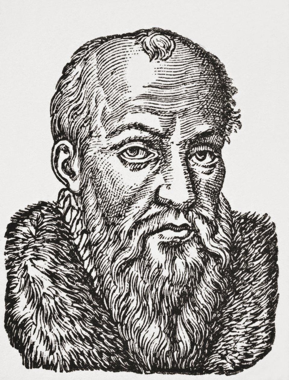 Jacques de Cujas, 1878 (litho) de English School
