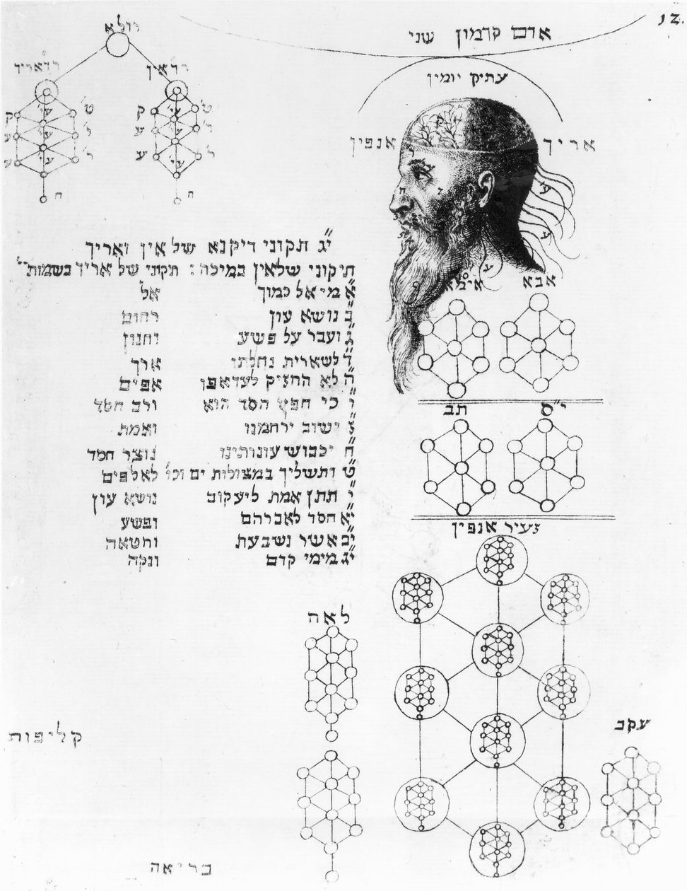 Manuscrito judaico ilustrando frenologia de English School
