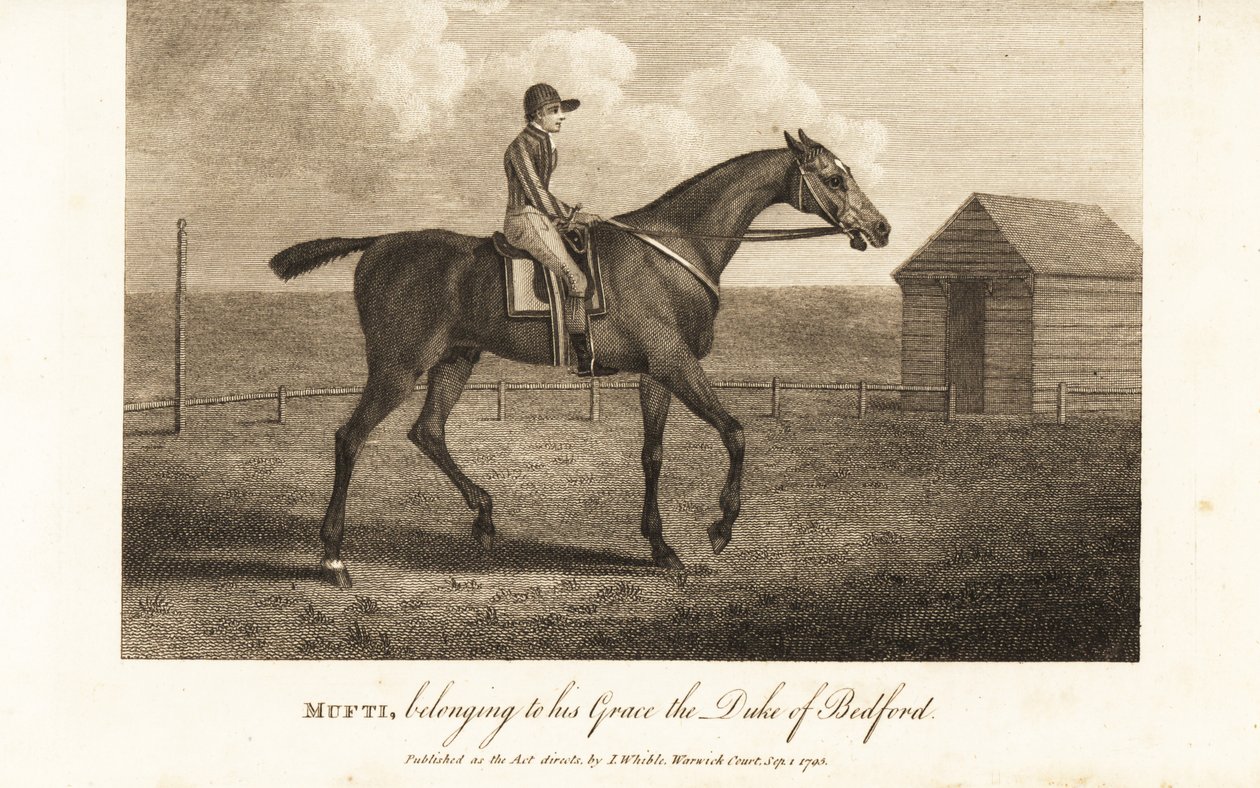 Jockey sobre o célebre Mufti, o corredor puro-sangue, pertencente a sua Graça o Duque de Bedford de English School