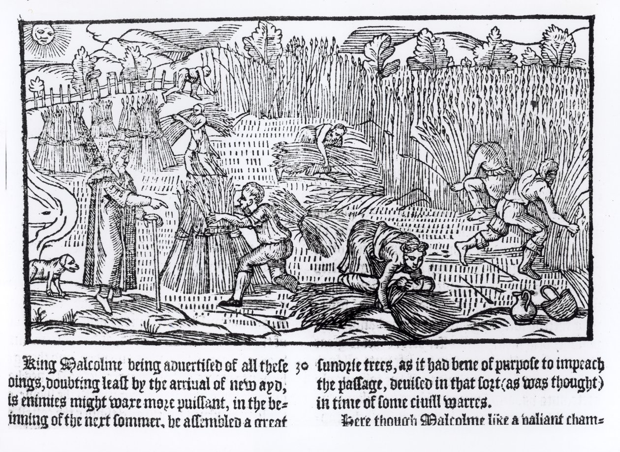 O rei Malcolm da Escócia observa trabalho agrícola, 1586 de English School