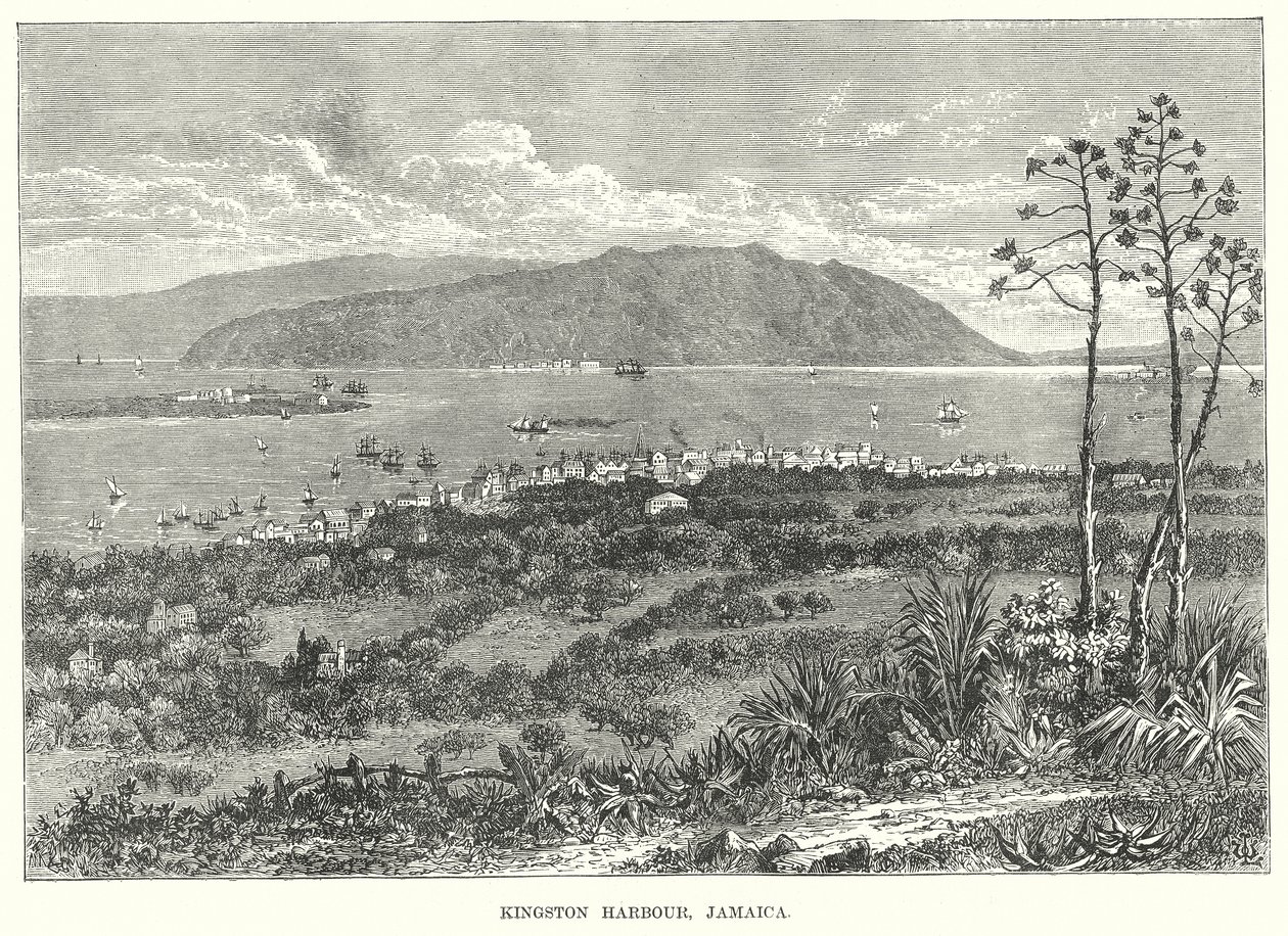 Porto de Kingston, Jamaica (gravura) de English School
