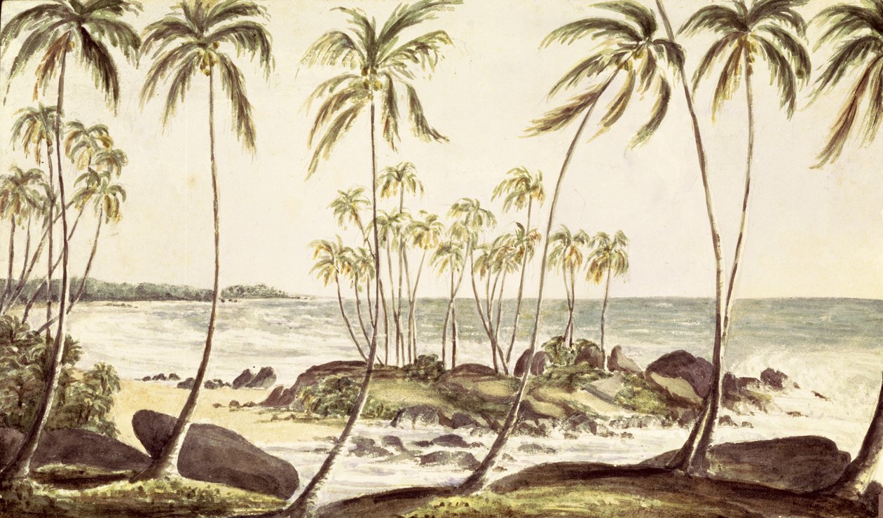 Praia de Kosgoda, Ceilão, c.1835 (wc no papel) de English School