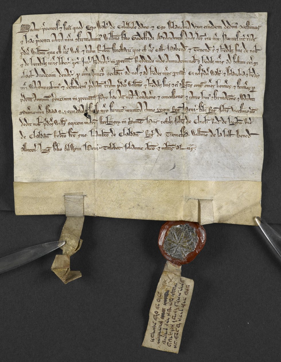 Escritura em latim com renúncia em hebraico (anexada ao selo), por Jacob ben Aaron libertando um pedaço de terra para William le Briel. Inglaterra de English School