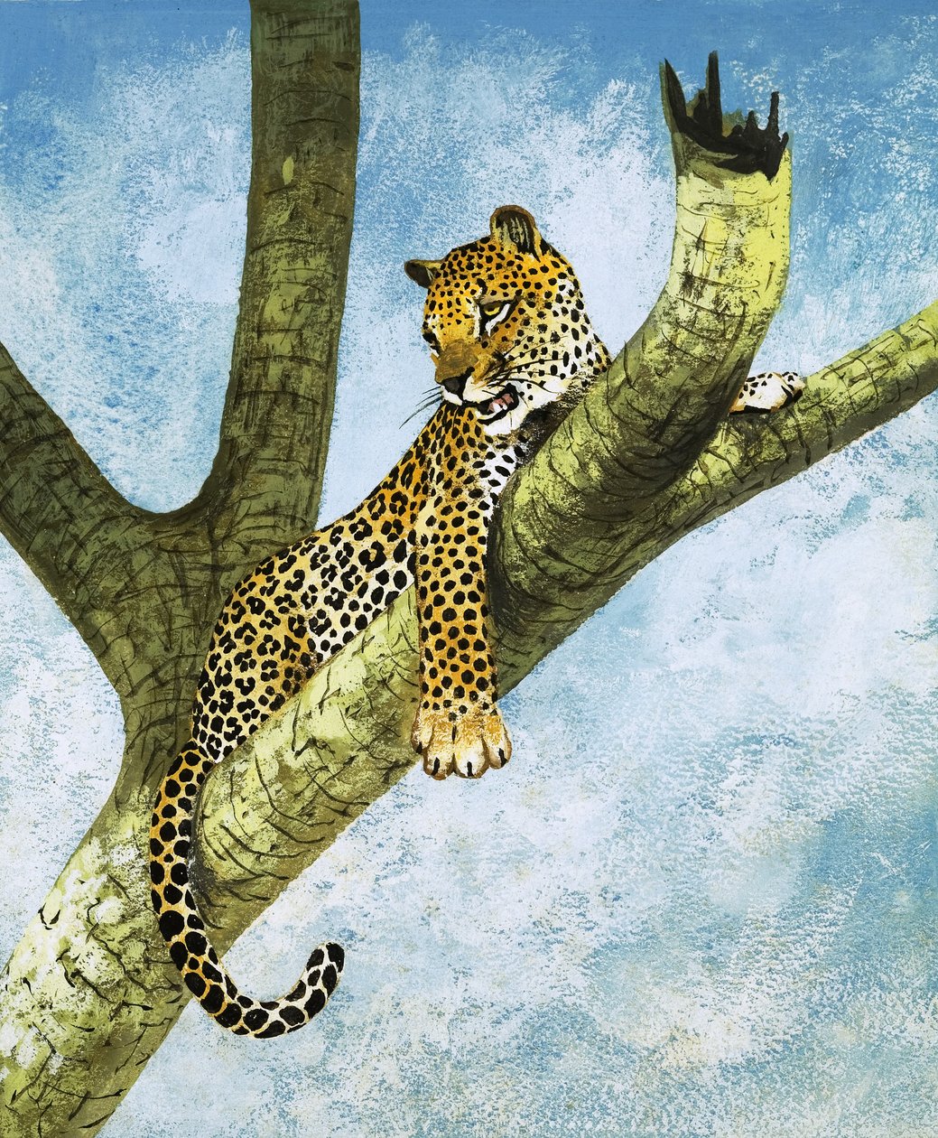 Leopardo numa árvore (guache sobre papel) de English School