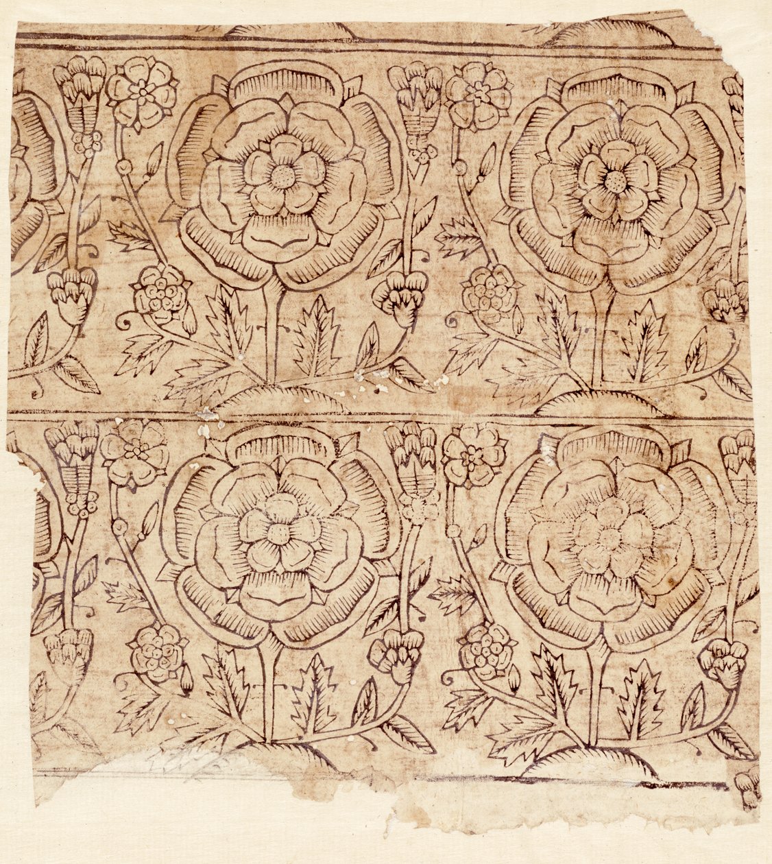 Forro de papel com um padrão Tudor Rose, c.1550 (impressão em xilogravura) de English School