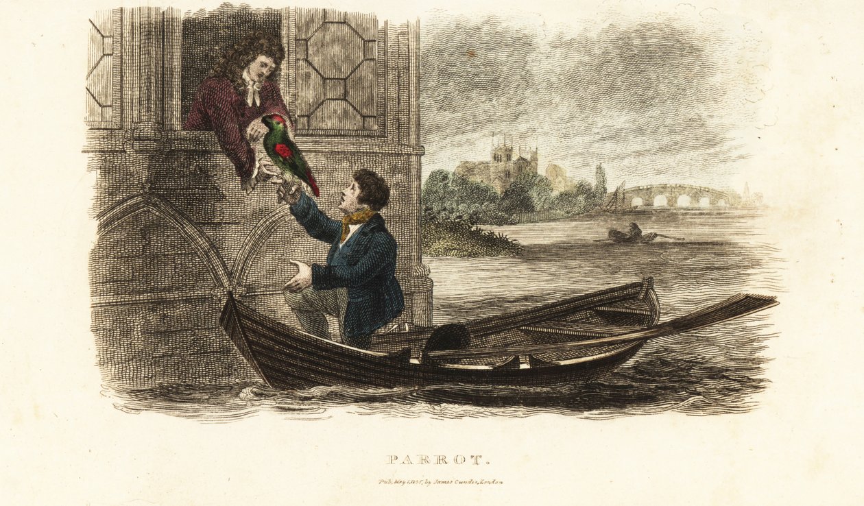 Barqueiro londrino a salvar um papagaio falante pertencente ao Rei Henrique VIII de Inglaterra de English School