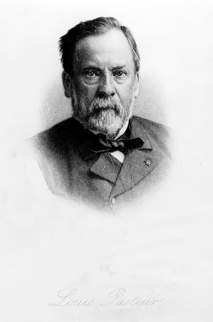 Louis Pasteur (1822-95) de English School