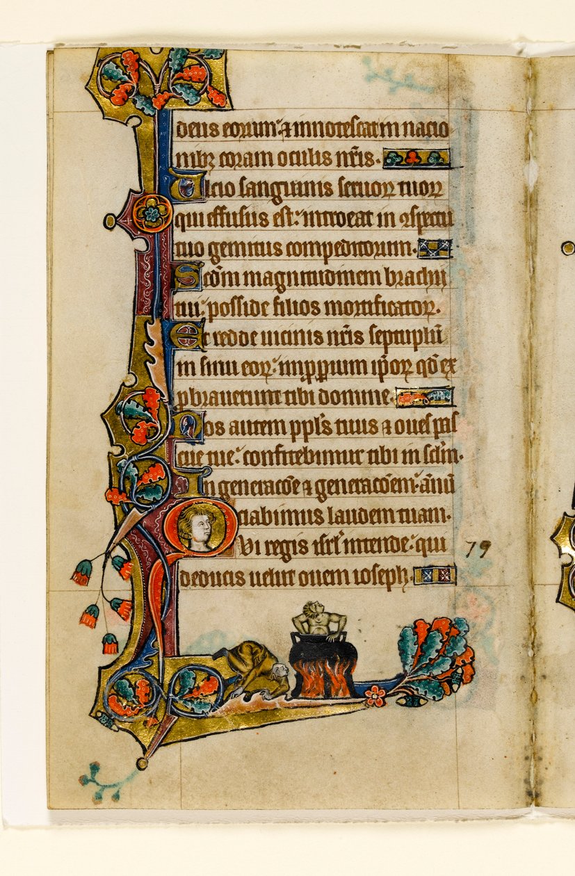 MS 1-2005, fol. 116v: No Caldeirão, decoração marginal do Saltério de Macclesfield, Uso de Sarum, East Anglia, c.1330 de English School