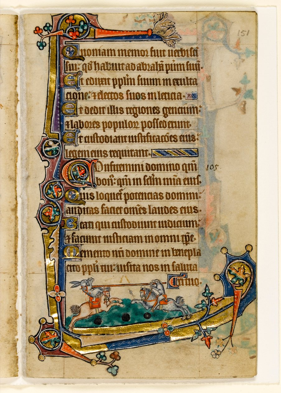MS 1-2005, fol. 151r: Uma competição de cães e coelhos, decoração marginal do saltério de Macclesfield, uso de Sarum, East Anglia, c.1330 de English School