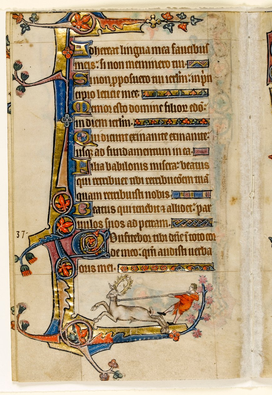 MS 1-2005, fol. 193v: Um Veado Lassoed by a Man, decoração marginal do Saltério de Macclesfield, Uso de Sarum, East Anglia, c.1330 de English School