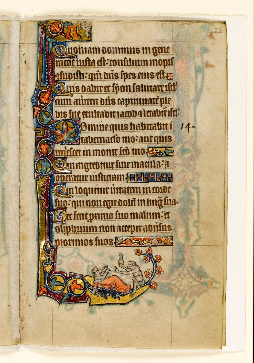 MS 1-2005, fol. 22r: O Ape-doutor e sua decoração paciente-paciente, marginal do Saltério de Macclesfield, Uso de Sarum, East Anglia, c.1330 de English School