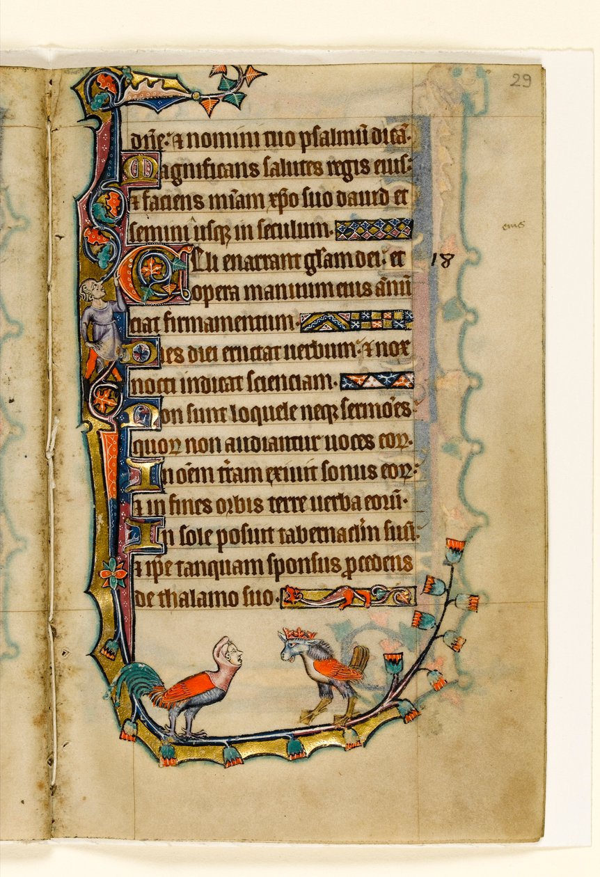MS 1-2005, fol. 29r: Dois pássaros como grotescos, decoração marginal do saltério de Macclesfield, uso de Sarum, East Anglia, c.1330 de English School