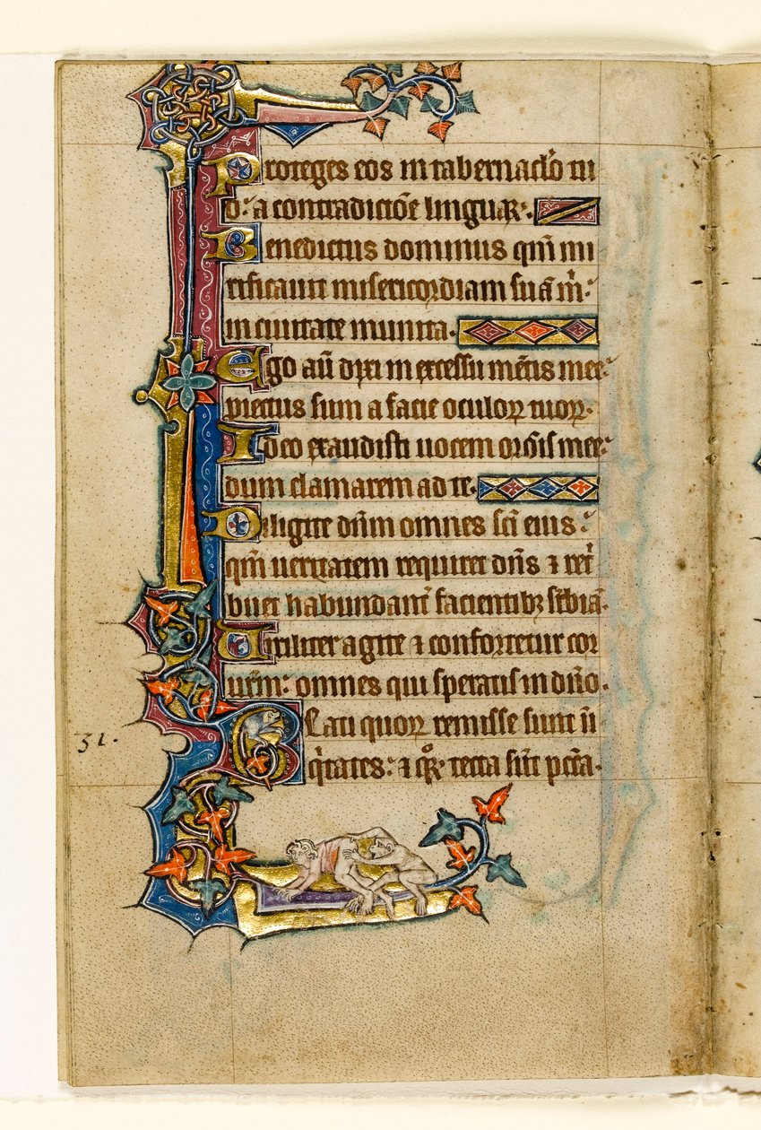 MS 1-2005, fol. 45v: Um macaco espiando no fundo de um homem, decoração marginal do saltério de Macclesfield, uso de Sarum, East Anglia, c.1330 de English School