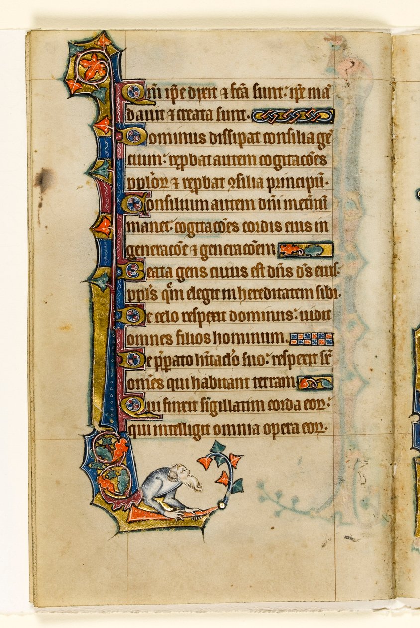 MS 1-2005, fol. 47v: Uma decoração grotesca e marginal do Saltério de Macclesfield, Uso de Sarum, East Anglia, c.1330 de English School