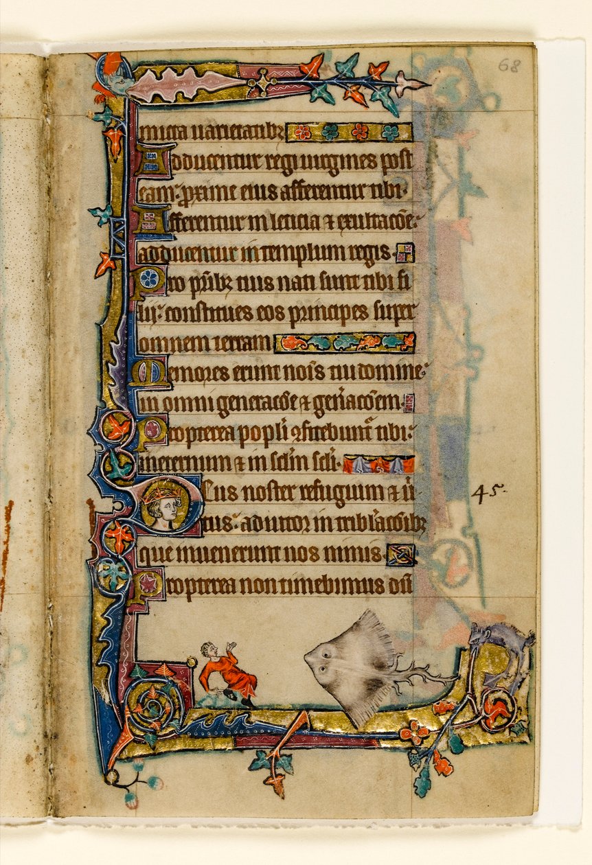 MS 1-2005, fol. 68r: O Patim Gigante, decoração marginal do Saltério de Macclesfield, Uso de Sarum, East Anglia, c.1330 de English School