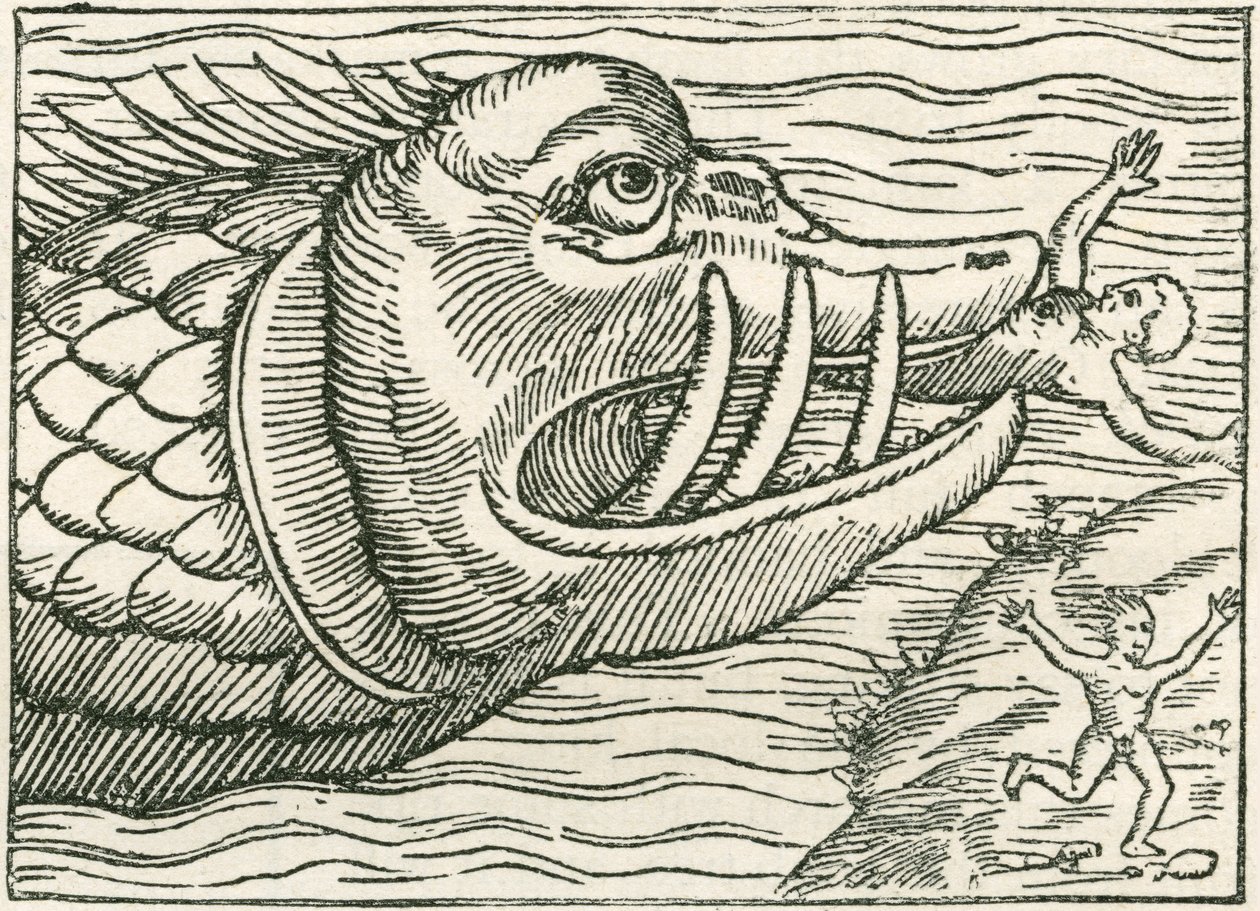 Homem a ser comido por uma serpente marinha. Ilustração encontrada na margem de um mapa elaborado por Olaus Magnus de English School