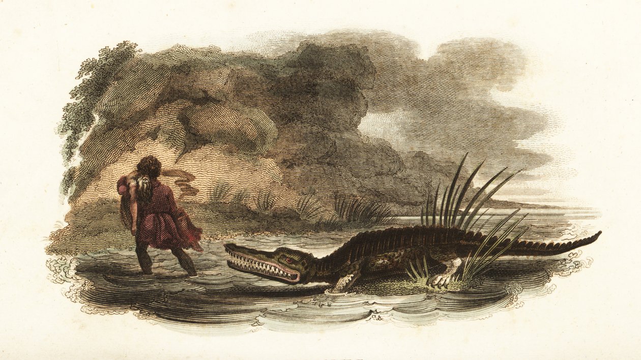 Homem salvando sua esposa das garras de um crocodilo em um rio, Filipinas de English School