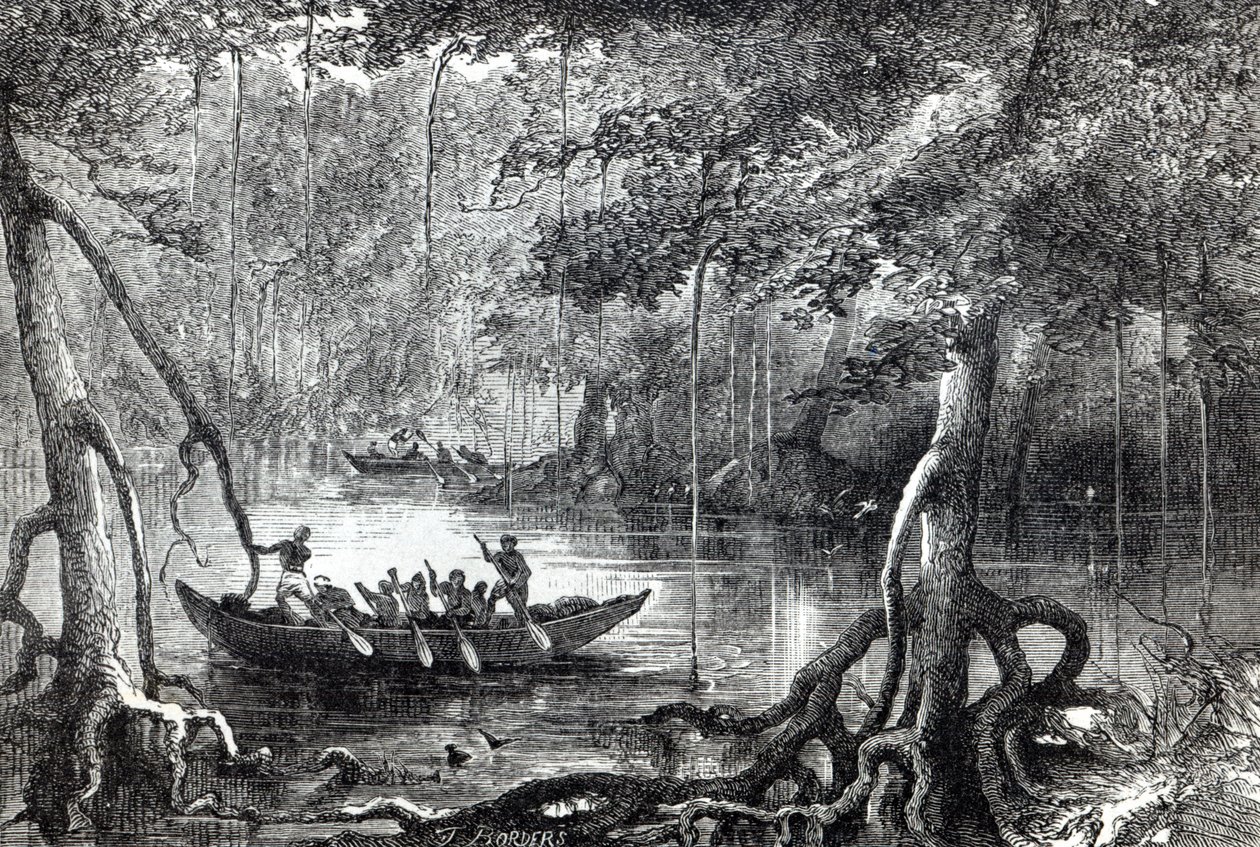 &39;Mangrove Forest&39;, ilustração do frontispício de &39;Vinte e nove anos nas Índias Ocidentais e na África Central&39; por HM Waddell, publicado em Londres 1863 de English School