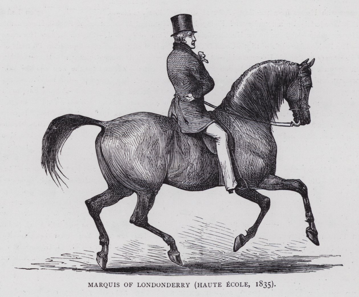 Marquês de Londonderry (gravura) de English School