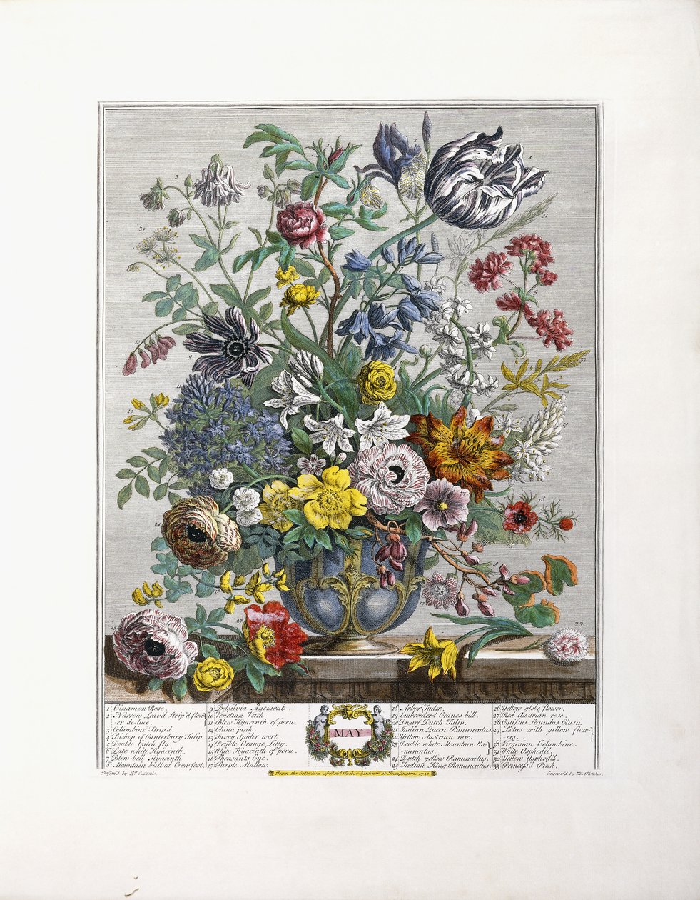 Maio de 1730 de English School