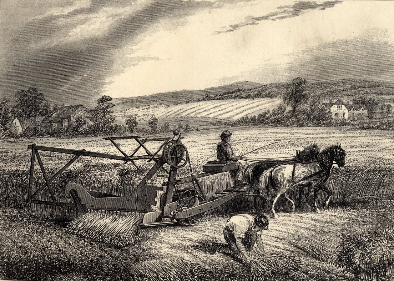 Máquina de colheita de McCormicks de English School