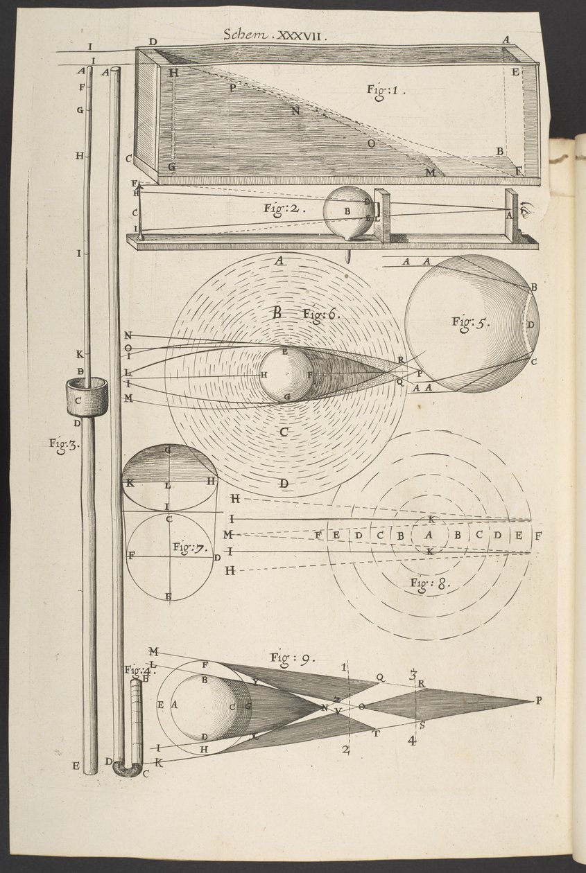 Micrografia, ou algumas descrições fisiológicas de corpos minúsculos feitas por lupas, com observações e inquéritos sobre os mesmos", Robert Hooke de English School