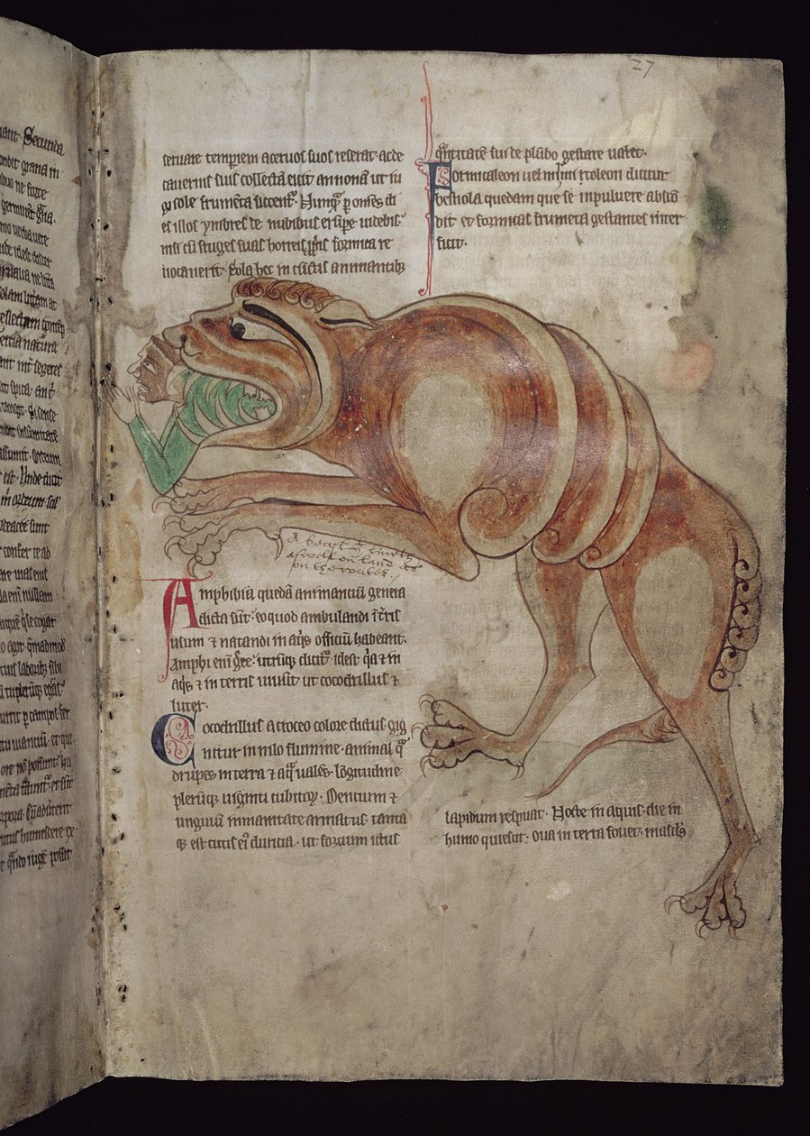 Ms.254 f.24 r Cocodrillus Engolindo um homem de English School