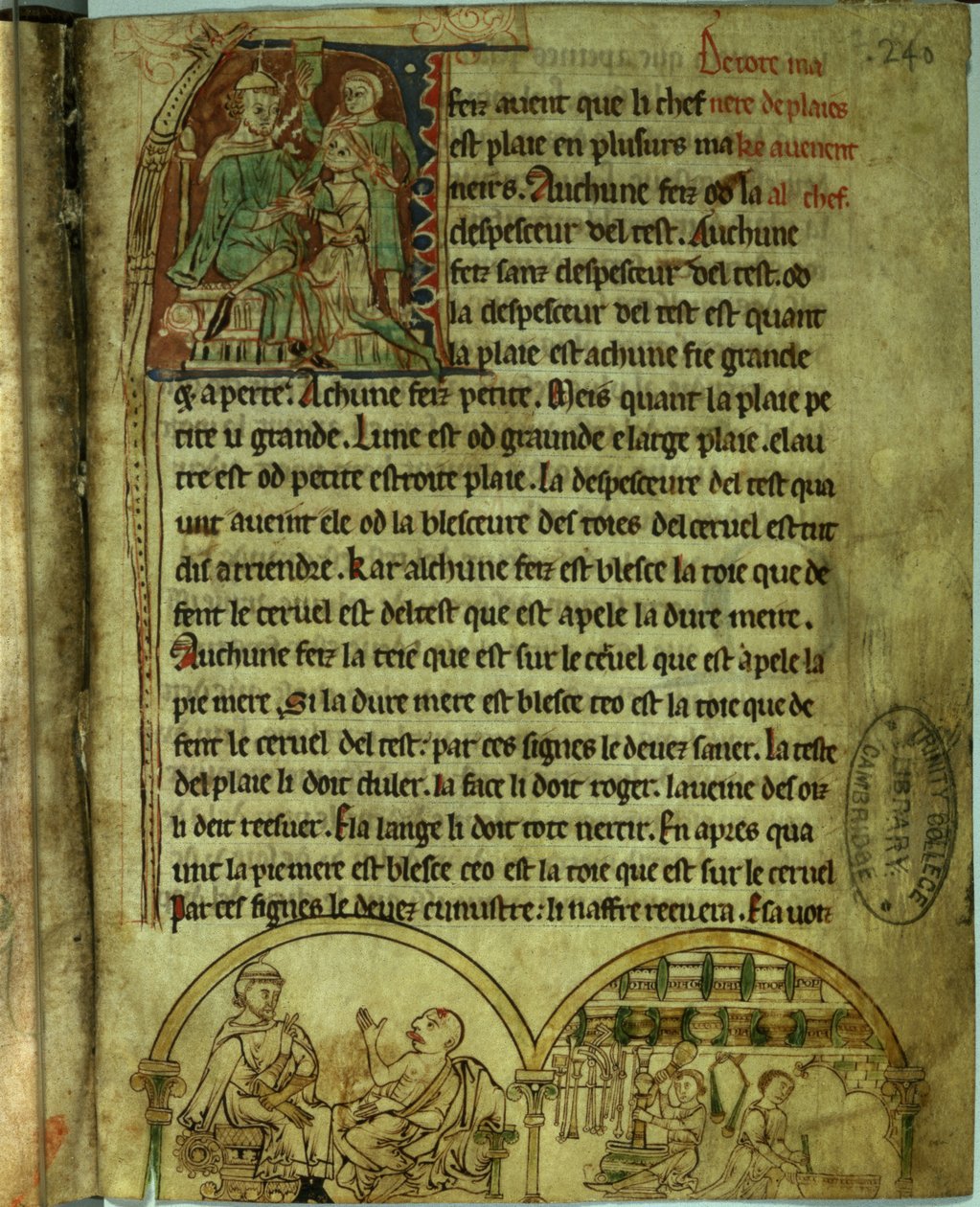 Ms.O.1.20.f.241v Jerome: Um médico visitando um paciente e um boticário, de 