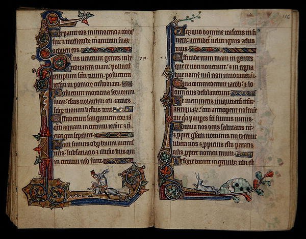 Ms 1-2005, ff.115v-116r: caça ao coelho montado num cão, decoração marginal do Macclesfield Psalter, Uso de Sarum, East Anglia, c.1330 (vellum) de English School