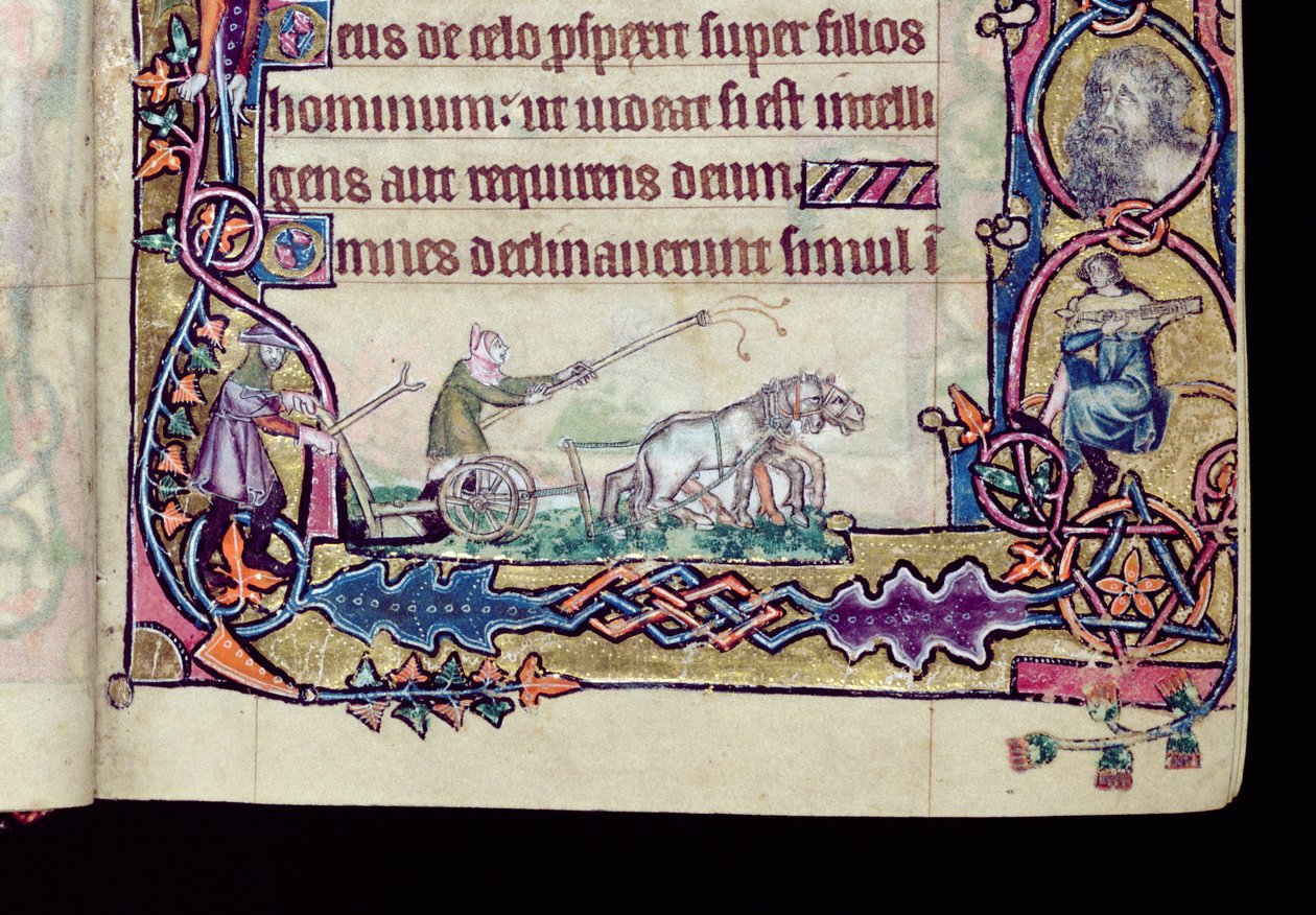Sra. 1-2005, ff.76v-77r: David e o tolo, inicial histórica do Psalter Macclesfield, Uso de Sarum, East Anglia, c.1330 (vellum) (detalhe de 276994) de English School