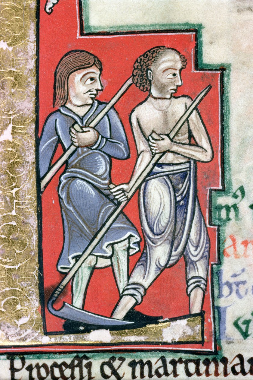 Ms Hunter 229 f.4r Mowing, do Saltério Hunteriano, c.1170 (caneta e tinta e têmpera em velino) (detalhe) de English School