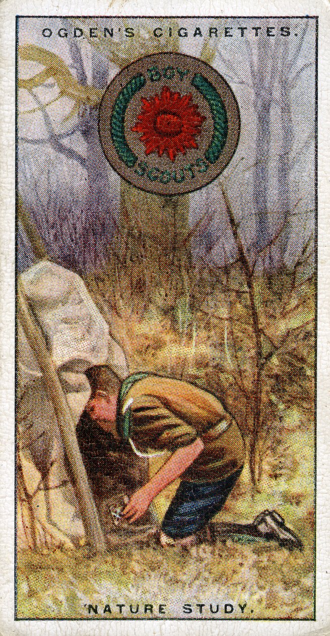 Nature Study Badge for Scouts, Escoteiro entrando em um esconderijo, 1929 de English School