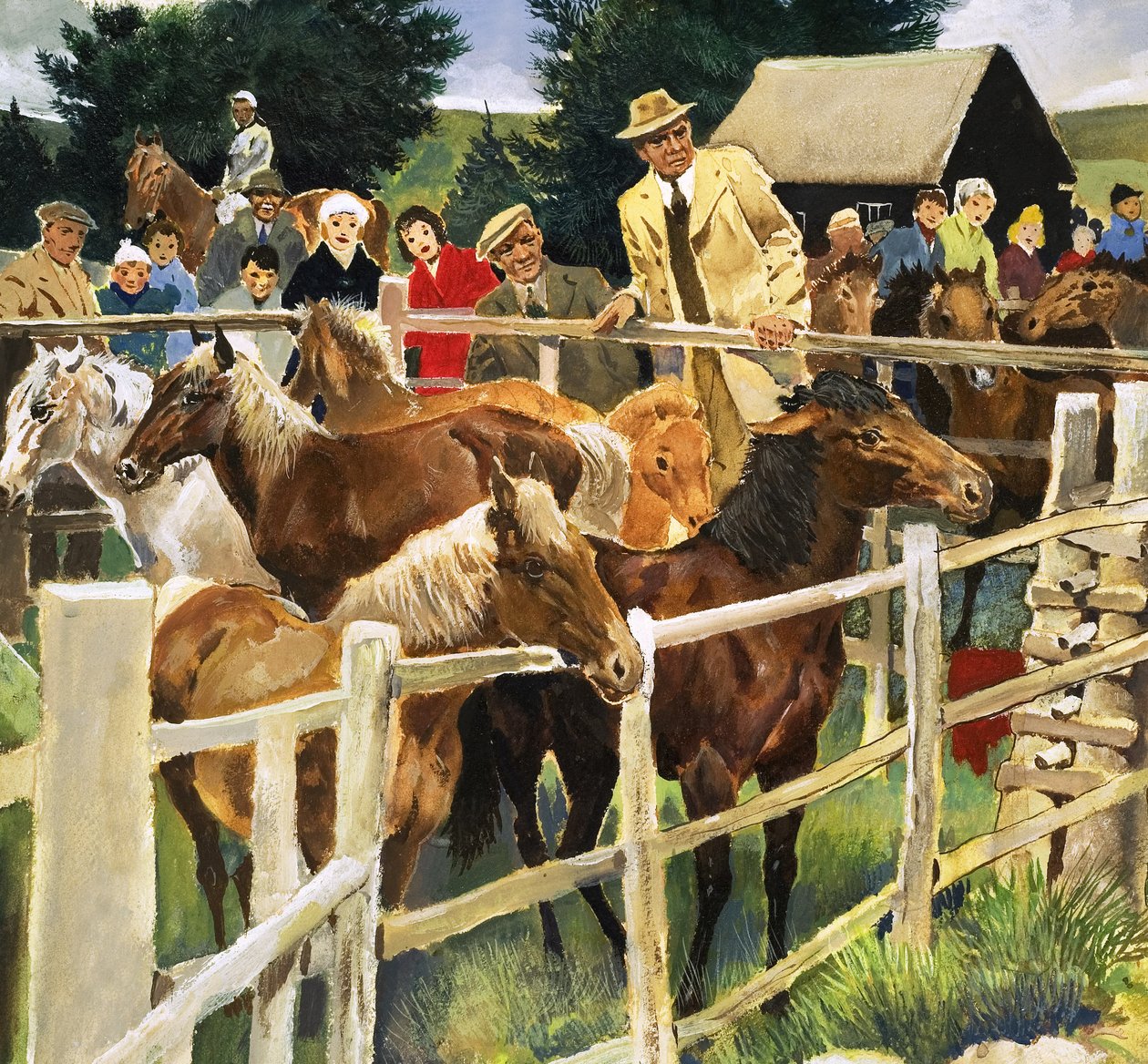 New Forest Ponies for Sale, ilustração de "Wonders of Nature" (Maravilhas da Natureza) de English School