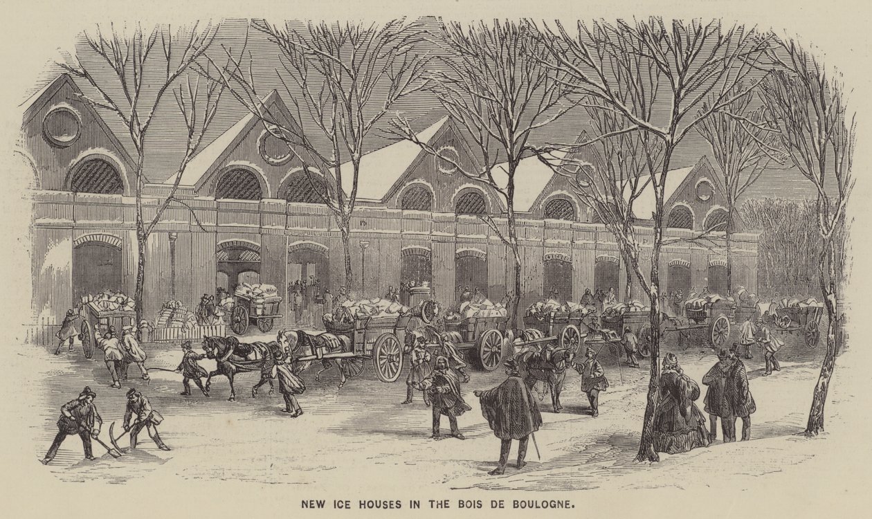Novas casas de gelo no Bois de Boulogne (gravura) de English School